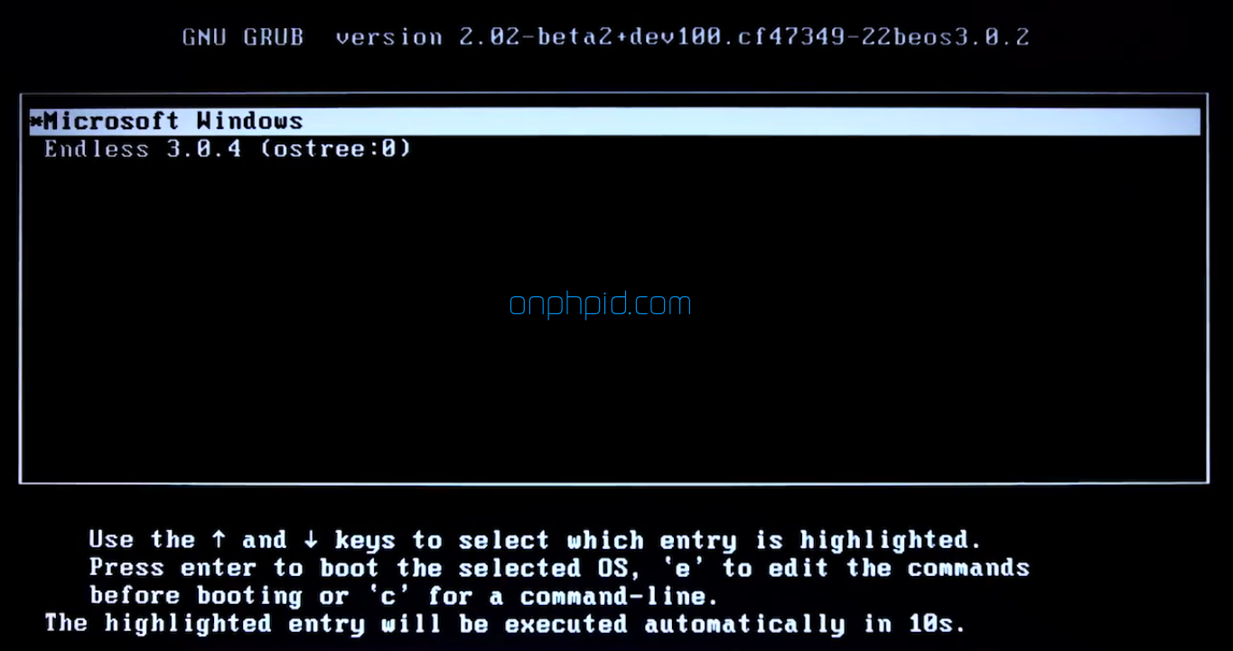 Cara Install Endless OS di Windows 10 - ONPHPID