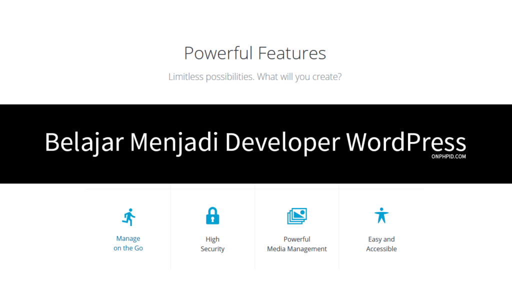 belajar wordpress,belajar wordpress pemula, belajar menggunakan wordpress, belajar developer wordpress